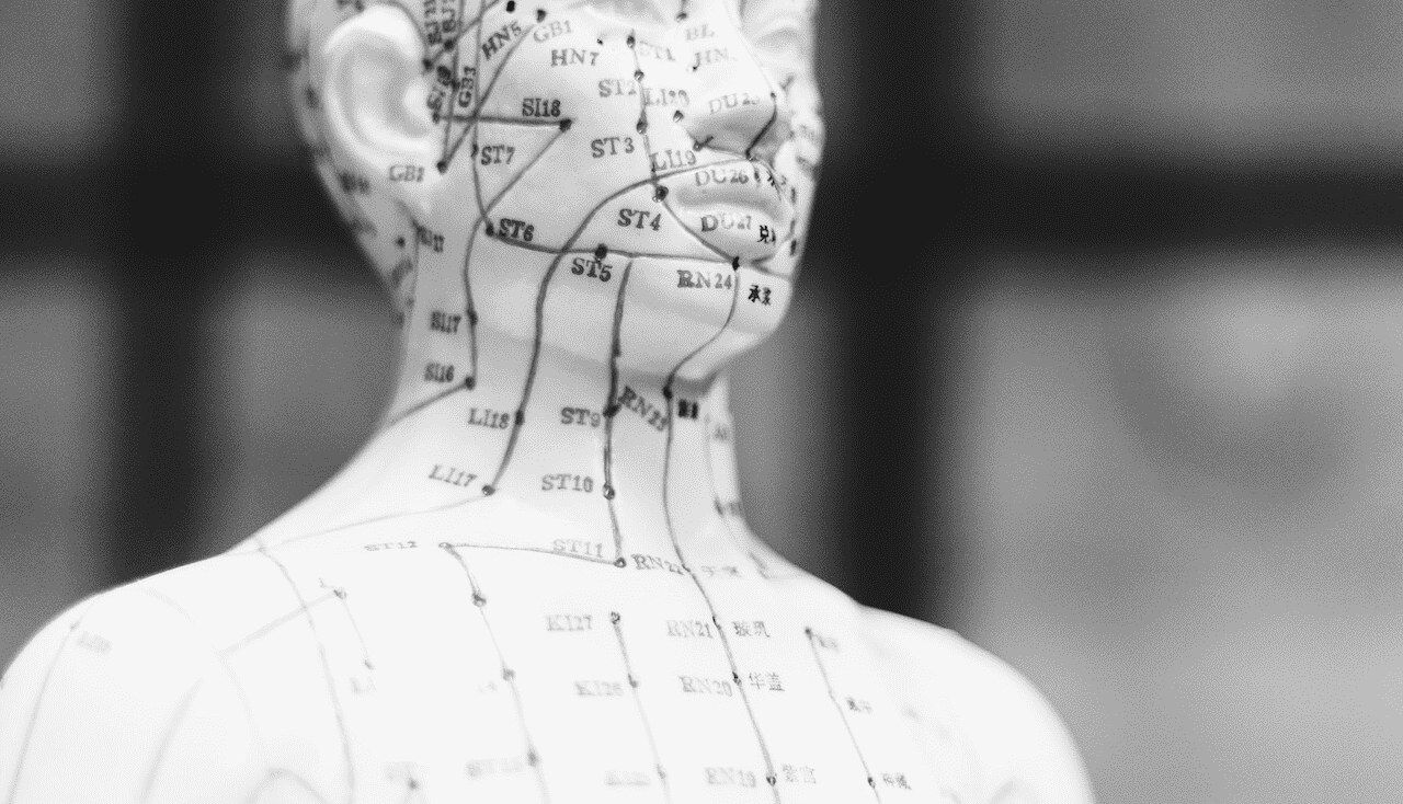 Modèle anatomique des méridiens d’acupuncture, en noir et blanc